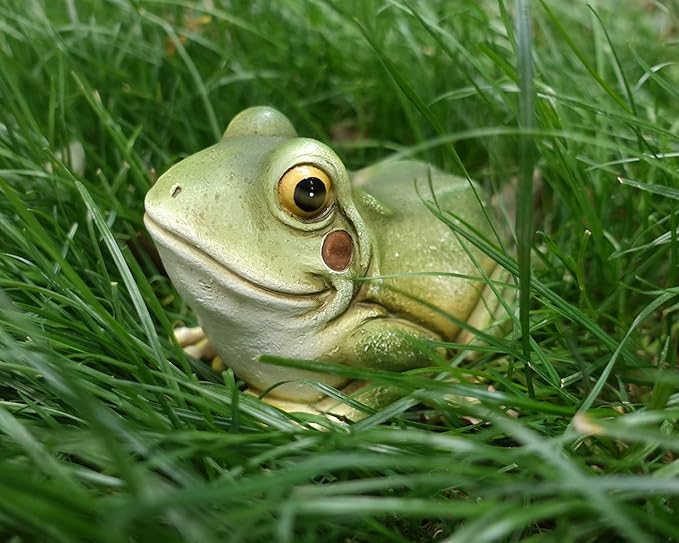 Hide a Key Frog Hand Painted Polyresin Outdoor Statue and Key Holder,Look and Feels Like a Real Frog for Yard,Garden,Patio