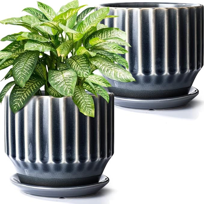 AISBUGUR Plant Pots 6 inch Ceramic Pots for Indoor Plants Set of 2 Flower Pots Unique Crackle Glaze Design Plant Pots with Drainage Hole and Saucer Come with Drainage Nets (Grey)