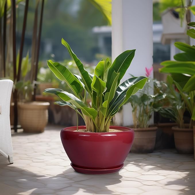 Ceramic Planter - Indoor Plant Pot with Drainage Hole and Saucer 13 Inch Large Pots for Plants Round Modern Outdoor Flower Pot Mid-Century Patio Room Decor Red