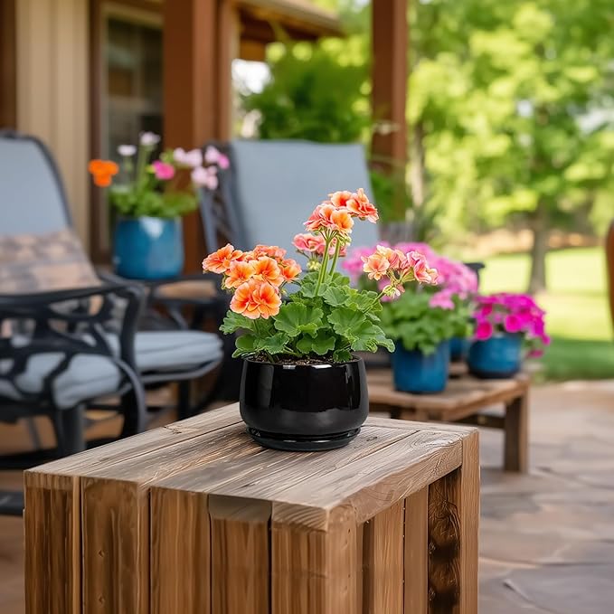 G EPGardening Small Ceramic Planter - 4 Inch Succulent Pots with Drainage Hole & Sacuer, Flower Pots for Indoor Outdoor Plants, Modern Decorative Round Planter, Room Decor, House Warming Gifts, Black