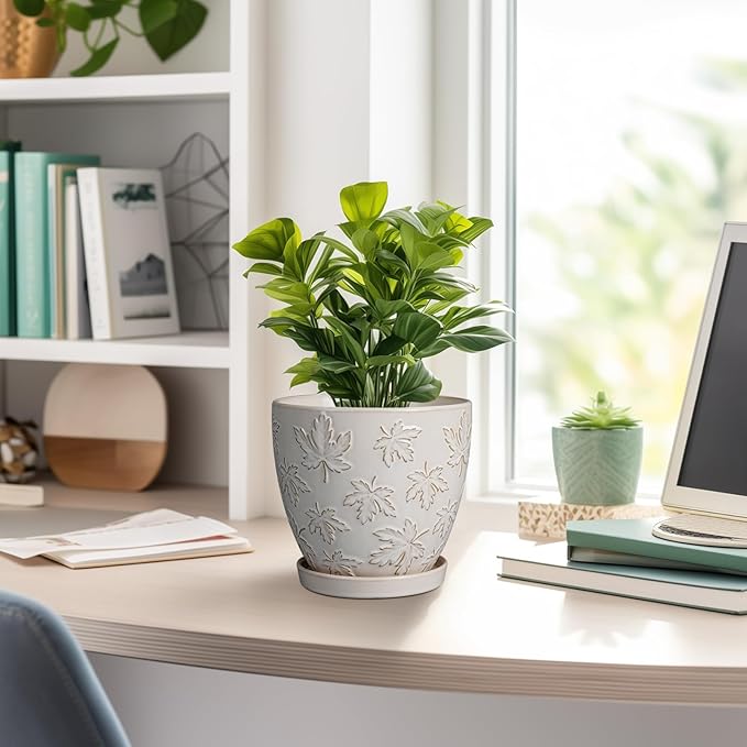 Ceramic Plant Pot 6 Inch - Ceramic Planter with Drainage Hole and Saucer Round Planter Flower Pot for Indoor Plants Outdoor Home Garden Office Decor White