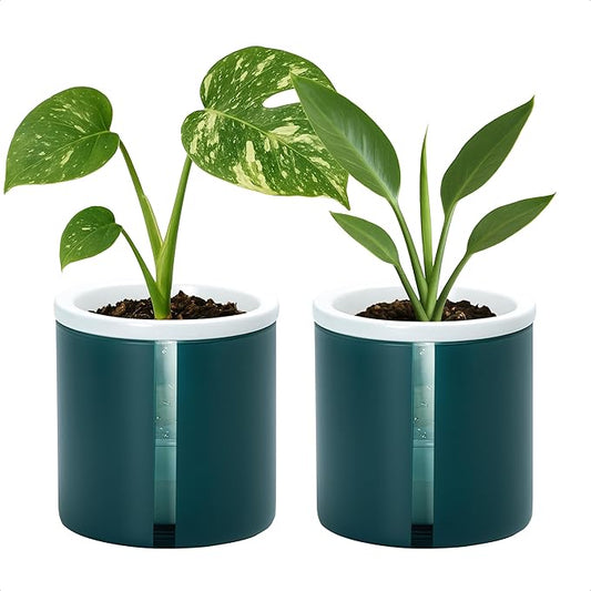 D'vine Dev 4 Inch Design Self Watering Planter for Indoor Plants, White Terracotta Pot with Teal Cylinder Glass Cup, Set of 2, 37-Y-A-5