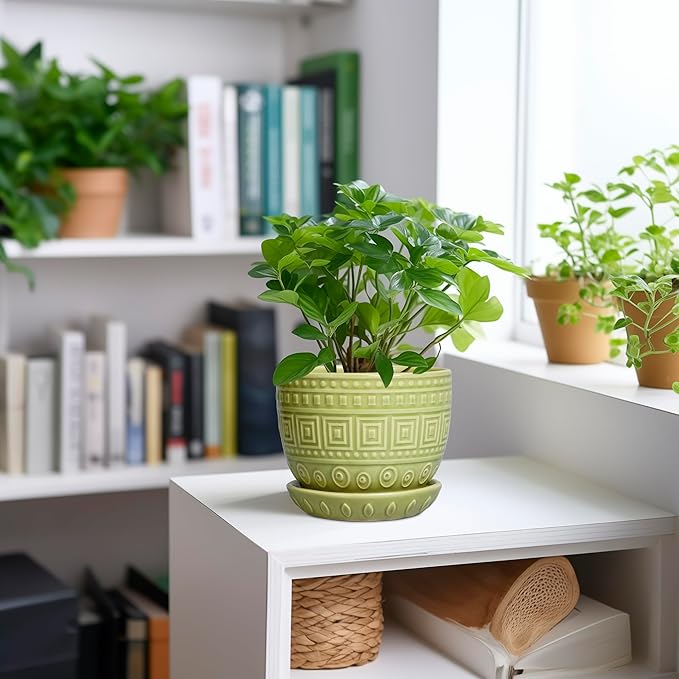 G EPGardening Ceramic Pots for Plants - 5.5 Inch Round Ceramic Planter for Indoor, Boho Succulent Pot with Drainage Hole and Plant Saucer, Gift for Plant Lover, Garden Home Desk Decor, Green