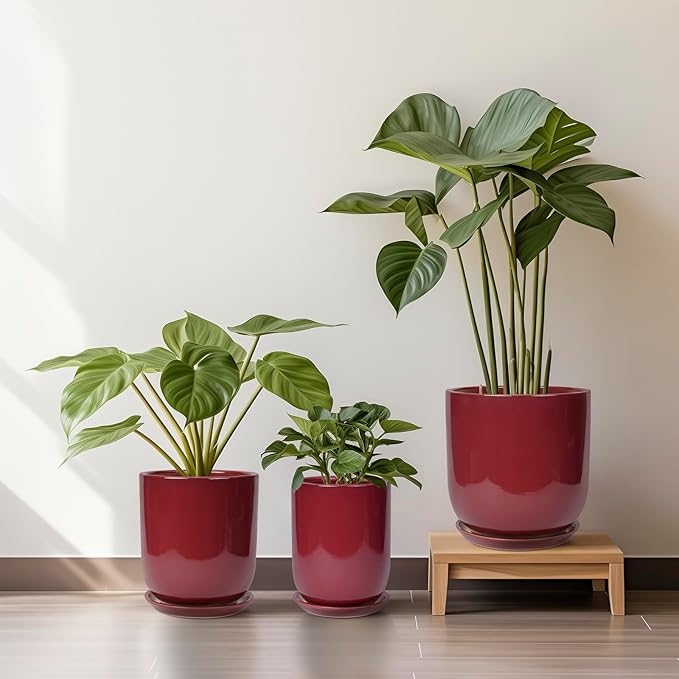 Ceramic Pot for Plants - 8 Inch Plant Pot Indoor with Drainage Hole and Saucer Cylinder Flower Pot for Indoor Outdoor Plants Home Patio Office Decor Red