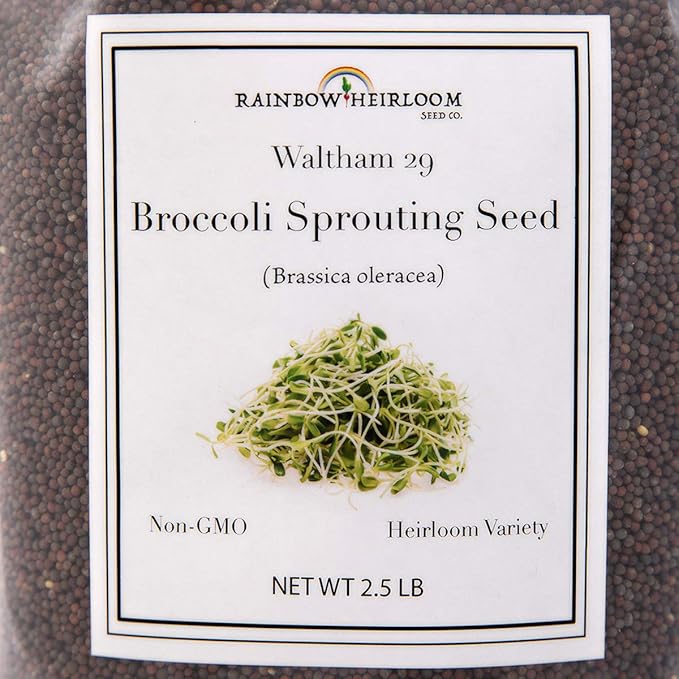 Broccoli Seeds for Sprouting & Microgreens | Waltham 29 Variety | Non GMO & Heirloom Seeds | Bulk 2.5 LB (40 oz) Resealable Bag | Rainbow Heirloom Seed Co.