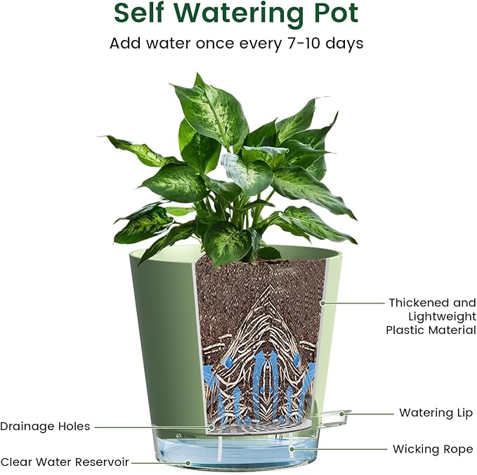 6 inch Self Watering Pots for Indoor Outdoor Plants, 6 Pack Flower Plant Pots with Drainage Holes and Clear Reservoirs, Visible Water Level, Plastic Planters with Wicking Rope, Green