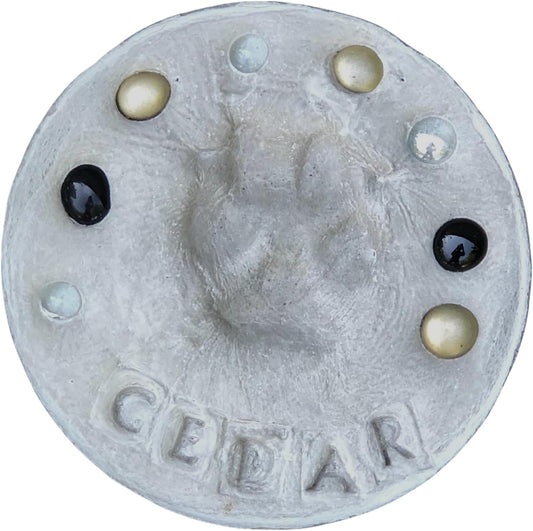 DIY Paw Print Stepping Stone Kit, Pet Memorial Stone, Pet Garden Stone (8 Inch)