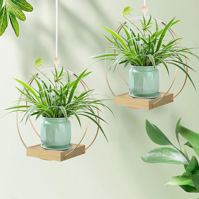 Hanging Planters for Indoor Plants, Plant Hanger with Sturdy Wood Base,Modern Boho Macrame Plant Hanger,Wall Ceiling Window Stands(Plants/Pots Not Included)