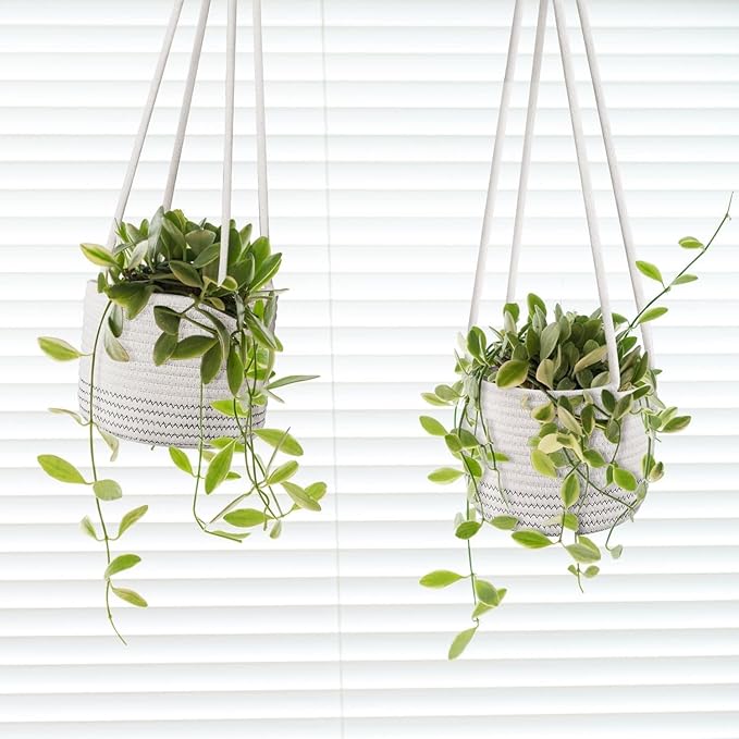 Flexzion Hanging Plant Basket Boho Cotton Rope Basket Indoor Hanging Planter, Up to 7" Flower Pot, Macrame Woven Modern Plant Holder, Storage Bin Organizer, Home Decor with 20" Hanging Rope, White