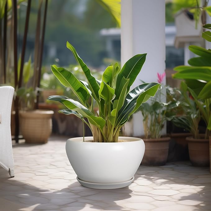 Planter for Indoor Plants 13 Inch - Ceramic Plant Pot with Drainage Hole and Saucer Decorative Round Large Planter Pot for Plants Outdoor Flower Pot for Room Decor White