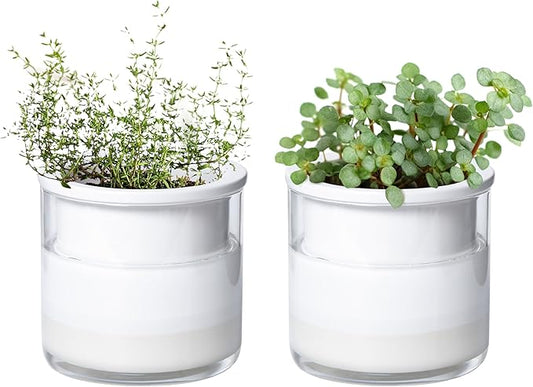 Phoenix Vine 4 Inch Self Watering Planter Pot, Design White Terracotta Pots for Plants, Indoor Cylinder Terra Cotta Pots with Glass Vase, Set of 2, 51-B-E-2