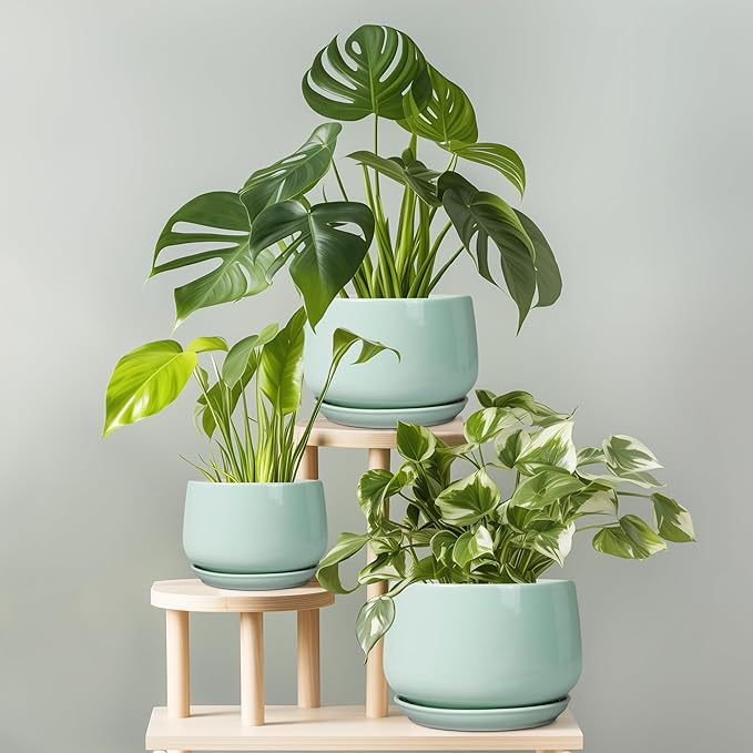 G EPGardening Ceramic Plant Pots - 6 Inch Pot for Plants, Ceramic Planter with Drainage and Saucer, Flower Indoor Outdoor Planter, Modern Bathroom Decor, Birthday Gifts, Green