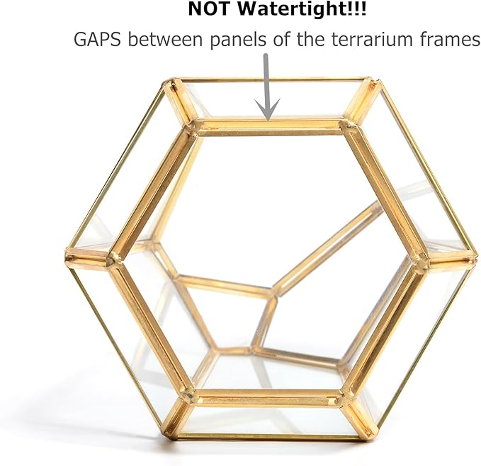 Golden Geometric Glass Terrarium with Door - 9.8" Tall Irregular Clear Planter for Succulents,Ferns,Moss,Cacti | Indoor Fairy Garden,Tabletop Display,Wedding Home Decoration (Plants Not Included)