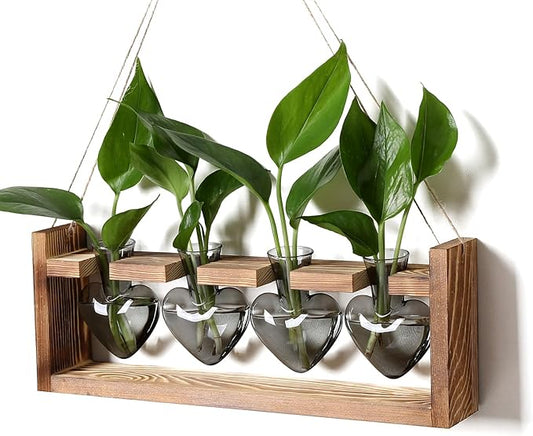 Plant Propagation Stations Heart Plant Terrarium Kit Gift for Women Plant Lover Glass Vases