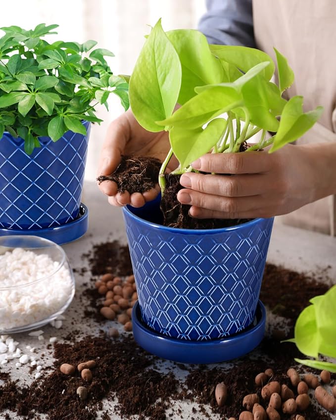 EFISPSS Ceramic Plant Pots, 5Inch Pots for Indoor Plants, Planters with Drainage Holes and Ceramic Tray,Plant Lover Gift, Desktop Office Windowsill Decoration Gift Set of 4 - Blue