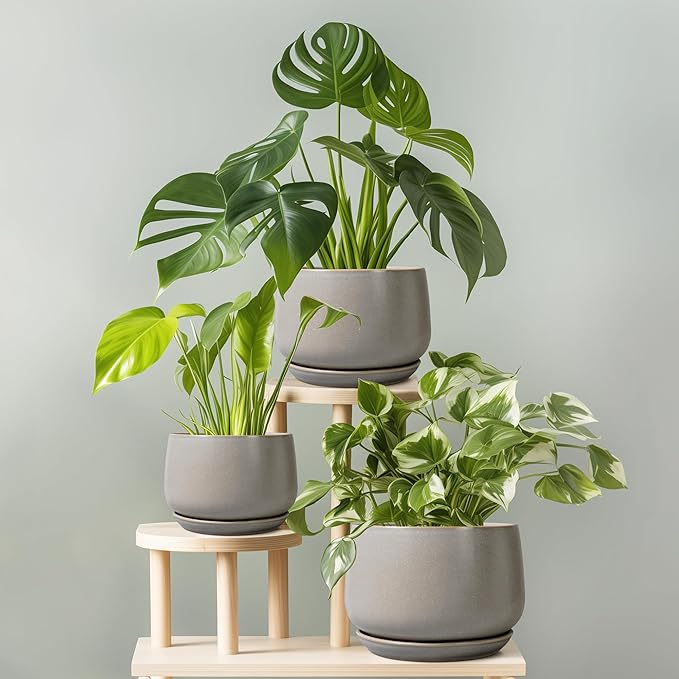 G EPGardening Ceramic Pots for Plants 7 Inch - Large Ceramic Planters for Indoor Plants Outdoor Modern Flower Pot with Drainage Holes and Saucer for Office Garden Patio Grey