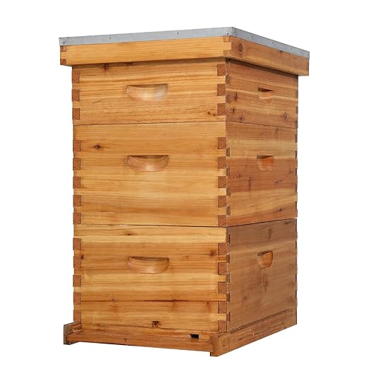 VINGLI 10-Frame Bee Hive, Wax Coated Beehive Starter Kit with Frames & Beeswax Coated Foundation Sheets (3 Layer)