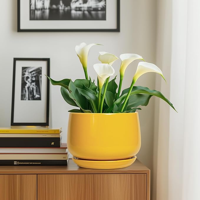 G EPGardening Ceramic Flower Pot - 9 Inch Plant Pots for Indoor Outdoor Plants, Round Ceramic Planter with Drainage and Plant Saucer, Modern Planter, Home Office Decor, Garden Gifts, Yellow