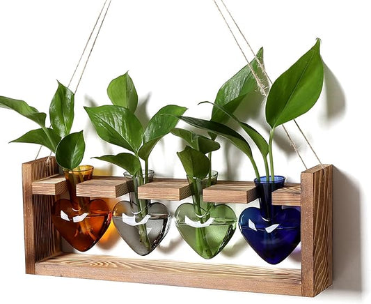 Plant Propagation Stations Heart Plant Terrarium Kit Gift for Women Plant Lover Glass Vases