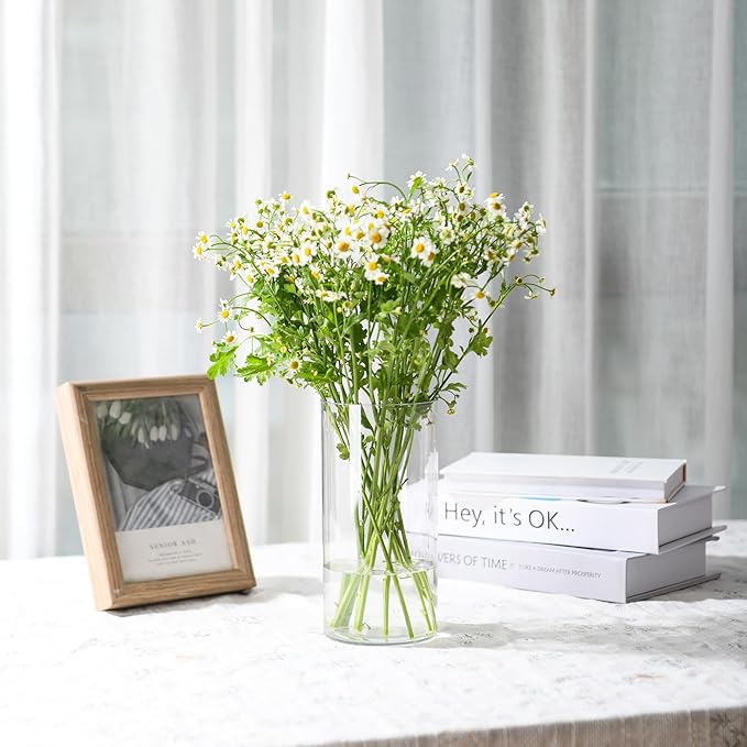 Clear Flower Vase, Non-breakable Vases, 6" W x 16" H, Acrylic Vase, Aesthetic Room Decor Cylindrical Modern Flower Vases for Table Centerpiece, Home Decor, Women Floral Arrangement Gift