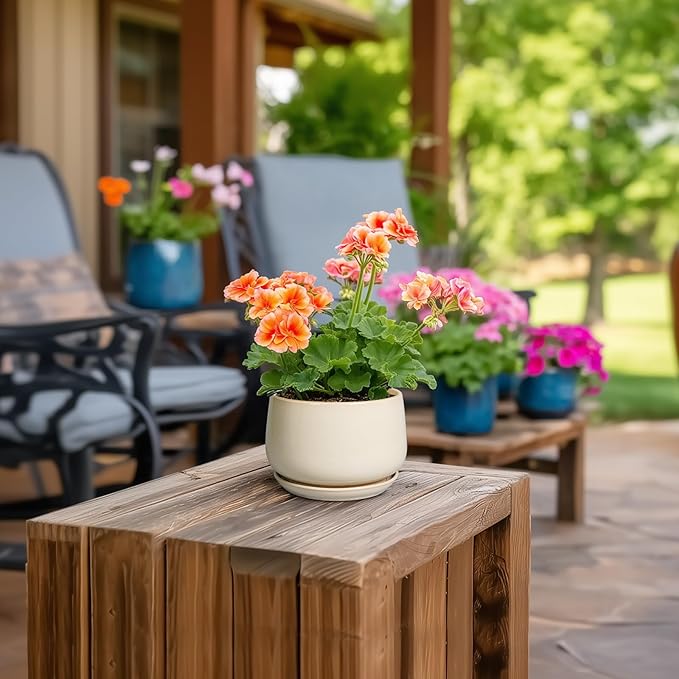 G EPGardening 4 inch Plant Pots - Ceramic Planter with Drainage Hole & Saucer, Small Plant Pots for Indoor Outdoor, Round Succulent Pot, Modern Decorative Flower Pot, Desk Decor, Garden Gifts, Beige