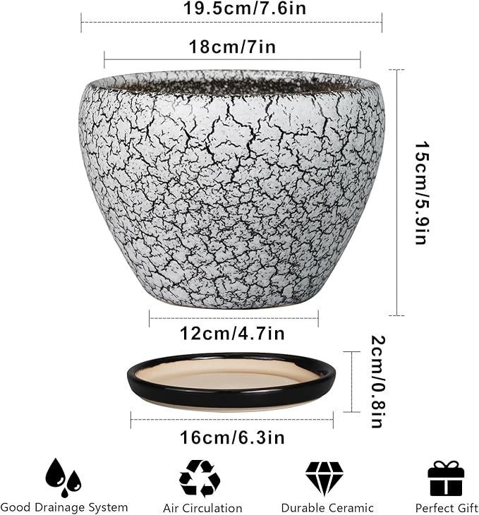 Ceramic Plant Pot 8 Inch - Ceramic Planter for Indoor Plants, Round Flower Pot with Drainage Hole and Saucer, Glaze White and Black