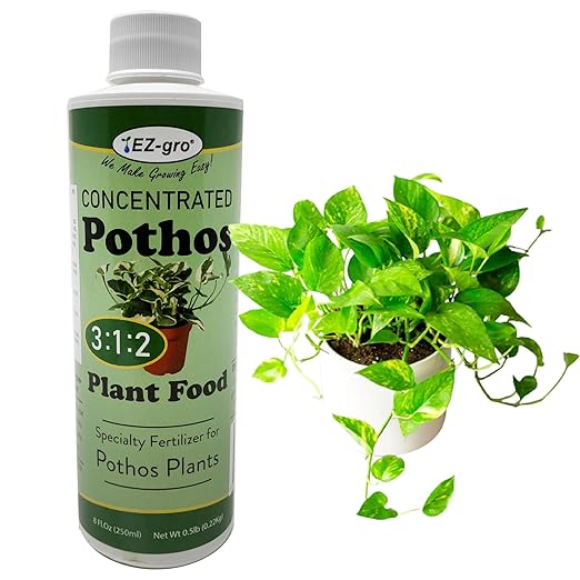 Professional Liquid Pothos Fertilizer by EZ-gro | 3:1:2 Ratio of Concentrate Indoor Plant Fertilizer for Your Pothos Live Plant | 8 oz