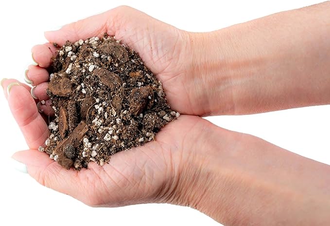 Fiddle Leaf Fig House Plant Soil Premium All Purpose Blend - Peat Moss, New Zealand Bark, Coco Chips and Fibers, Perlite - 5 Quart Bag