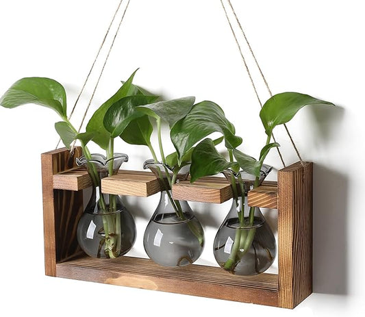Plant Propagation Station Plant Terrarium Unique Birthday Gifts for Women Plant Lovers Home Office Decor Planter with Wooden Stand - 3 Bulb Glass Vase