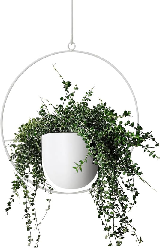 Hanging Planter Indoor Modern Boho Plant Pot Metal Wall and Ceiling Plant Holder Mid Century Minimalist Flower Pot for Hanging Plants, White