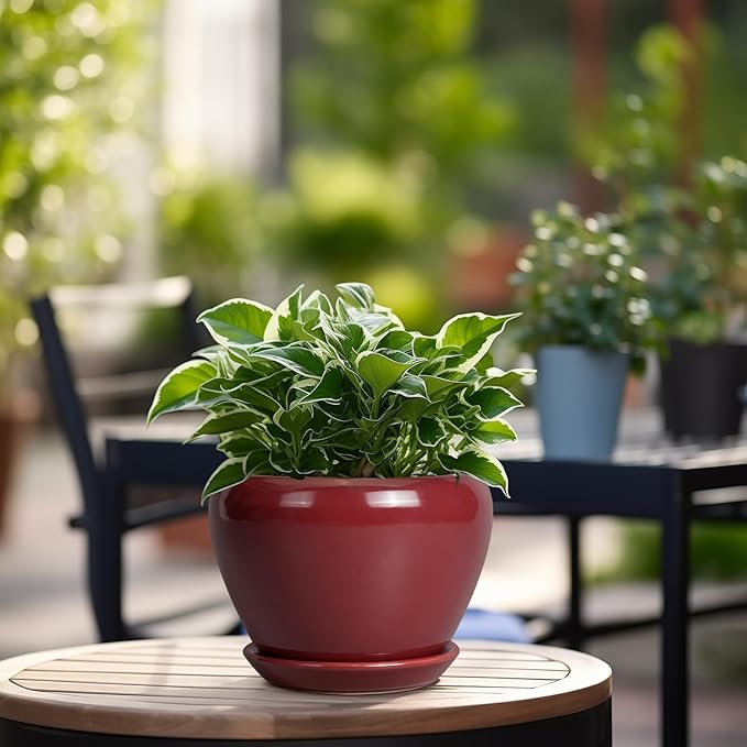 Ceramic Pot for Plants - 6 Inch Plant Pot Indoor with Drainage Hole and Saucer Succulent Outdoor Planter Round Flower Pot for House Patio Decor Red