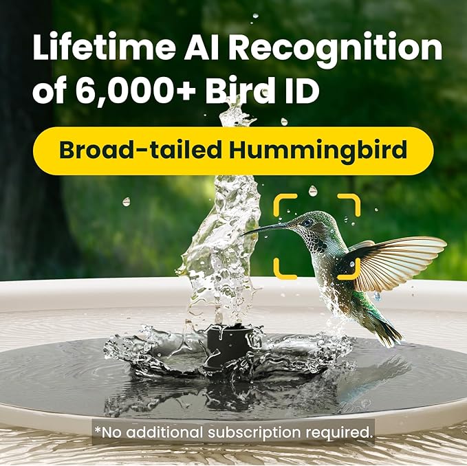 Birdfy Smart Bird Bath with Camera Solar Powered & Fountain, Dual-Lens Camera for Wildbird Watching, Auto Capture Bird Videos & Motion Detection - AI Lifetime Version (Yellowstone)
