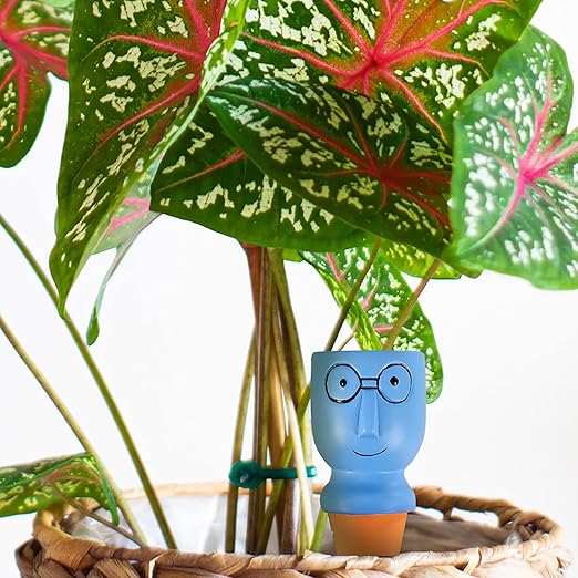 4 Pack Terracotta Watering Spikes, Vacation Self-Watering Planters Devices - Continuous Moisture with Slow Release Watering System - Perfect for Indoor Outdoor Plants (Big Head)
