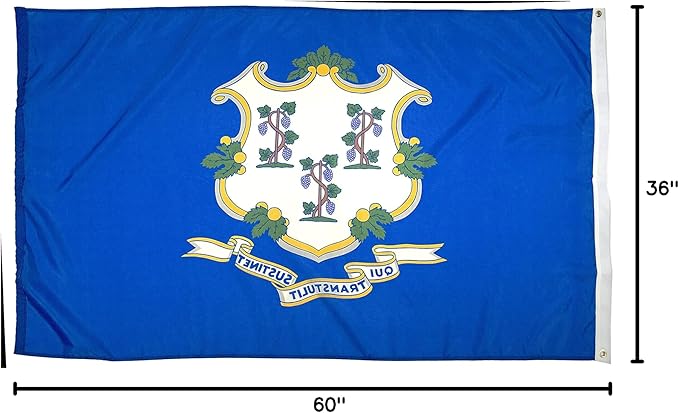 FlagSource Connecticut Nylon State Flag, Made in the USA, 3x5'