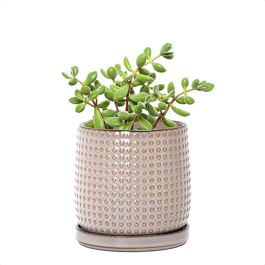 D'vine Dev 4 Inch Ceramic Beaded Stoneware Planter Pot - Flower Pot with Drainage Holes and Saucers for Indoor Succulent Plants or Flowers, Light Brown, 27-C-Z-4