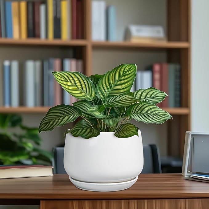 G EPGardening Ceramic Pots for Plants - 7 Inch Planter for Indoor Plants, Round Flower Pots with Drainage and Saucer, Modern Outdoor Planter, Garden Decor, Home Gifts, White