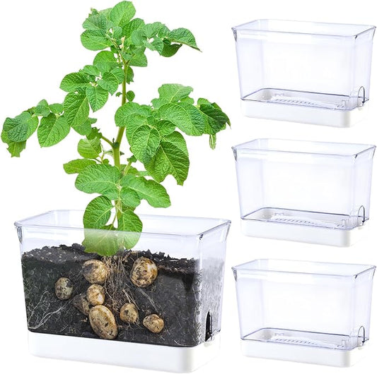 Self Watering Planters for Indoor Plants, 4 Pack Rectangular Clear Plant Pots with Drainage Holes for Spider Plant African Violet, Plant Growth Observations Plant Box for Kids
