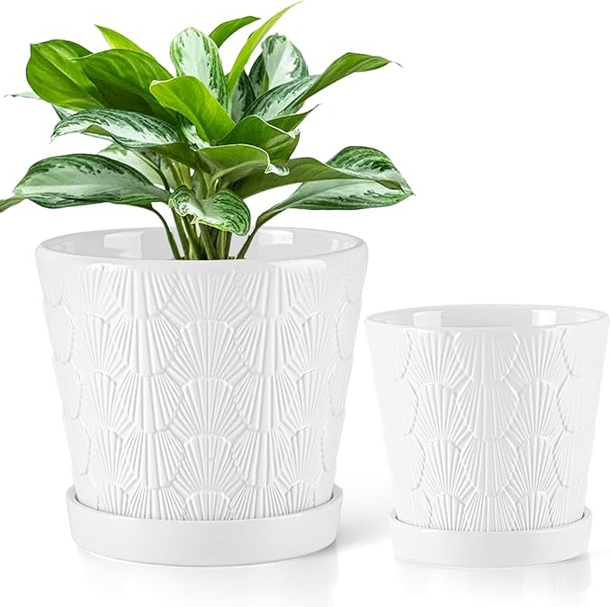 EFISPSS Ceramic Plant Pots, 5+6 Inch Pots for Indoor Plants, Planters with Drainage Holes and Tray, Modern Flower Pots Gardening Home Desktop Office Windowsill Decoration Gift Set of 2 - White