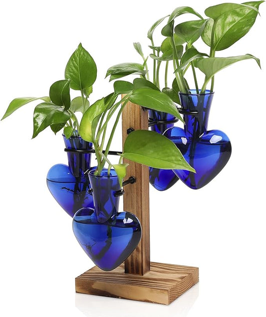 Plants Propagation Stations Plant Terrarium Kit Glass Planters for Indoor Plants House Plant Accessories Gift for Women - 4 Love Vase