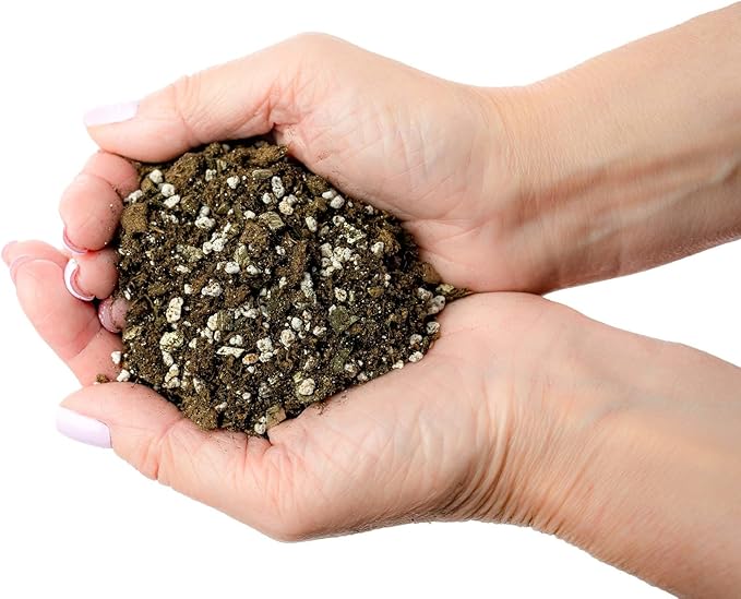 African Violets and Gesneriad Premium Soil Mix - Horticultural Perlite (25%) + Vermiculite (25%) + Sphagnum Peat Moss (50%) - Made in USA - (2 Quart Bag)