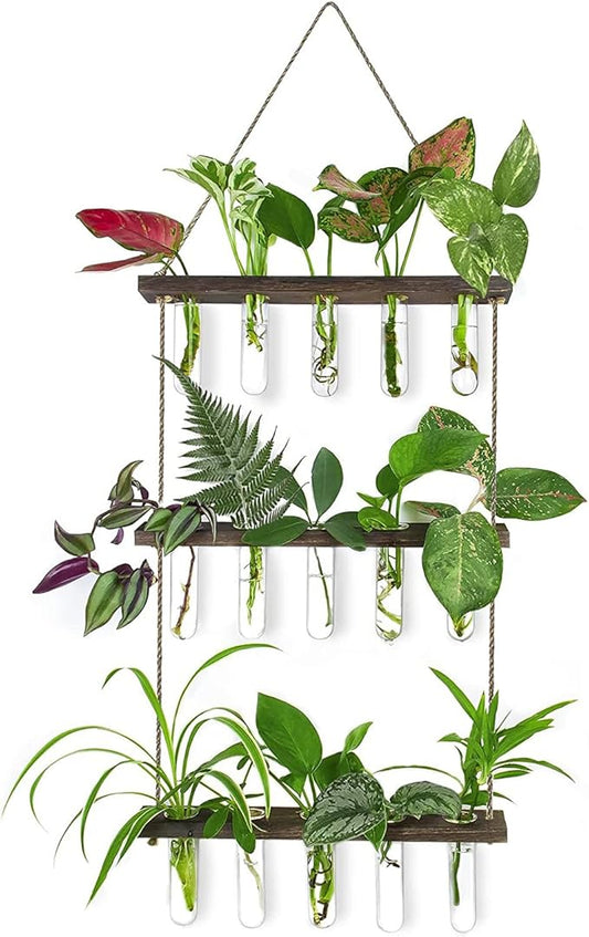 Ivolador Hanging Plant Propagation Tubes,3 Tiered Wall Hanging Terrarium Flower Planter Vase for Hydroponic Plants Cutting Home Office Garden Decor Plant Lover Gift