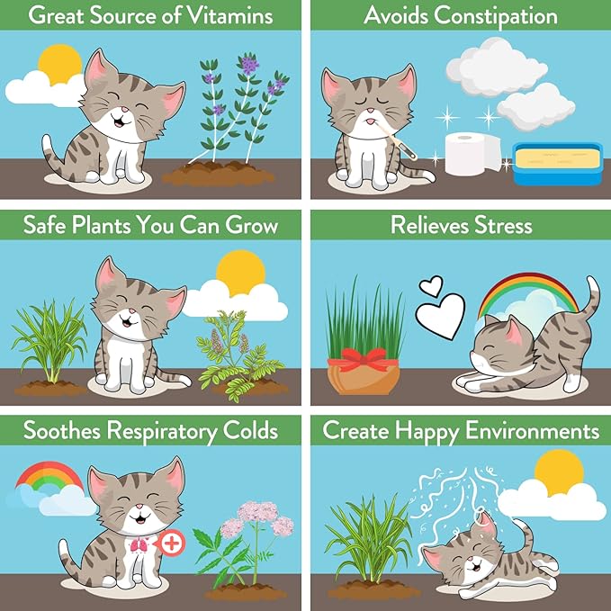 HOME GROWN 2,160+ Cat Plant Seeds Mix – 𝗡𝗢𝗡-𝗚𝗠𝗢 𝗨𝗦𝗔-𝗦𝗢𝗨𝗥𝗖𝗘𝗗 Heirloom Catnip, Lemongrass, Licorice, Thyme & Valerian – Pet-Friendly Indoor Garden Refill Kit for Cats & Kittens