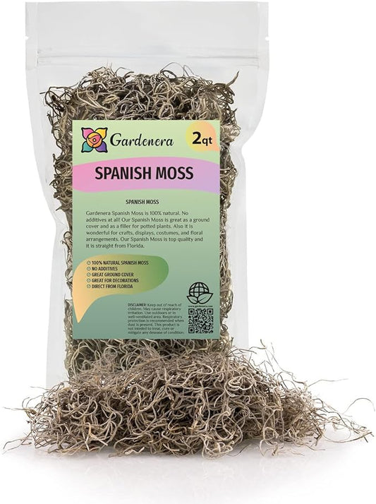 Premium Natural Spanish Moss | Natural Preserved - Great Ground Cover - Filler for Potted Plants - by GARDENERA - 2 Quart Bag