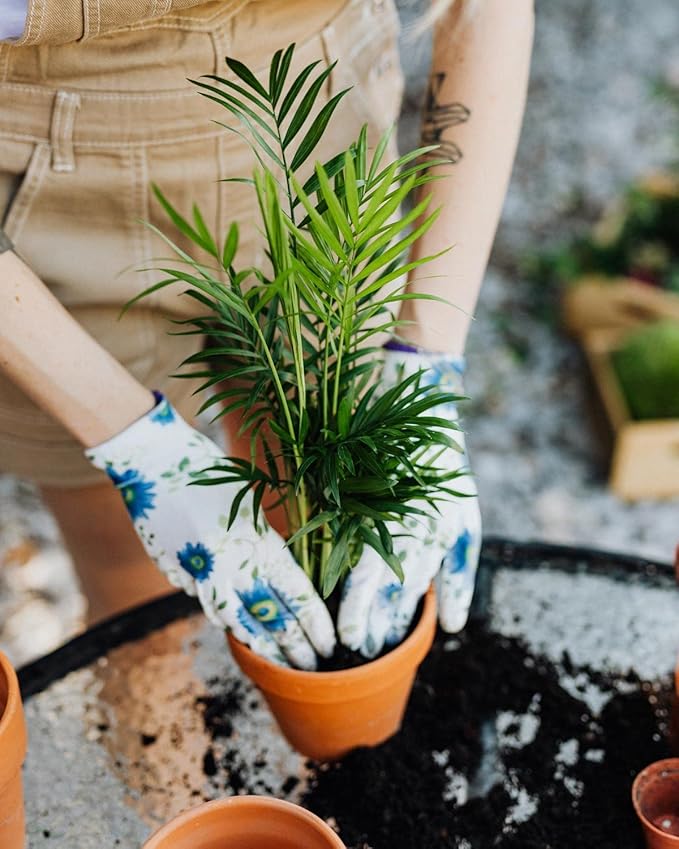 Palm Tree Potting Mix - The Ultimate Soil for Strong and Healthy Palms - Top Choice for Palm Tree Growers [1 Quart Bag]