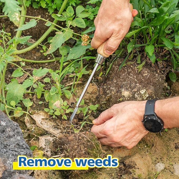 Berry&Bird Garden Hook Weeder, L-Shape Single Claw Hook Crack Weeder for Crevice Weeding and Soil Loosening, Garden Digging Cultivator Weed Remover Tool for Garden Patio Lawn Yard Moss Terrace Paving