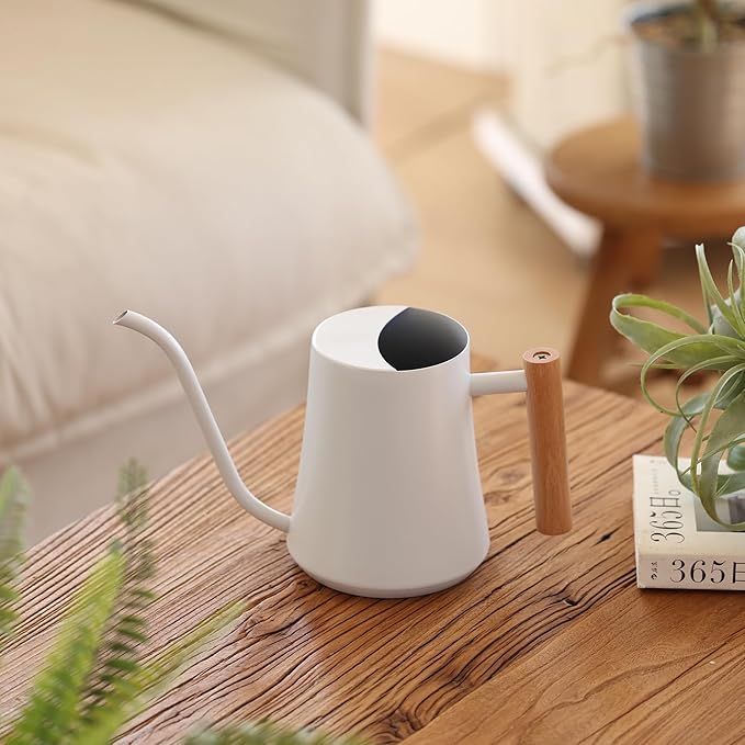 Green Moon Water Can Indoor Plant White 35oz with Long Spout Mini Water Can Indoor Metal Watering Can Pot for Indoor House Plant Bonsai Outdoor Garden Flowers Modern Decorative