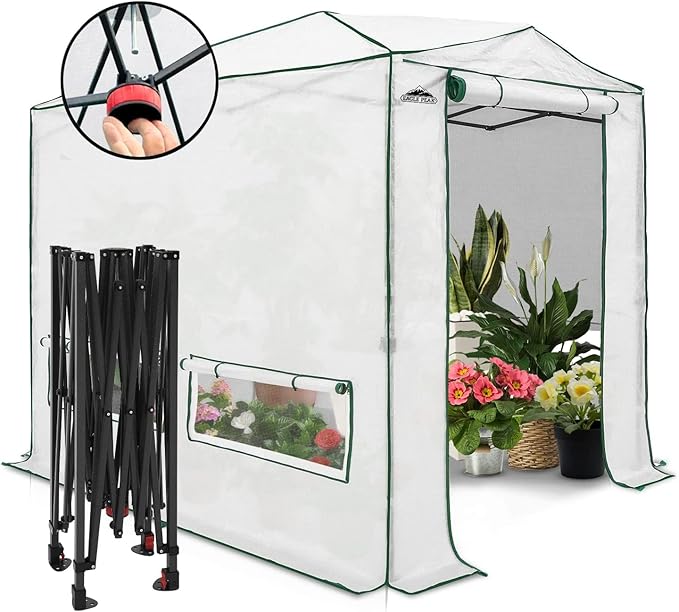 EAGLE PEAK 8x6 Portable Walk-in Greenhouse, Pop-up Indoor Outdoor Garden Green House, Zippered Doors and Windows, Heavy Duty Woven PE Top, White