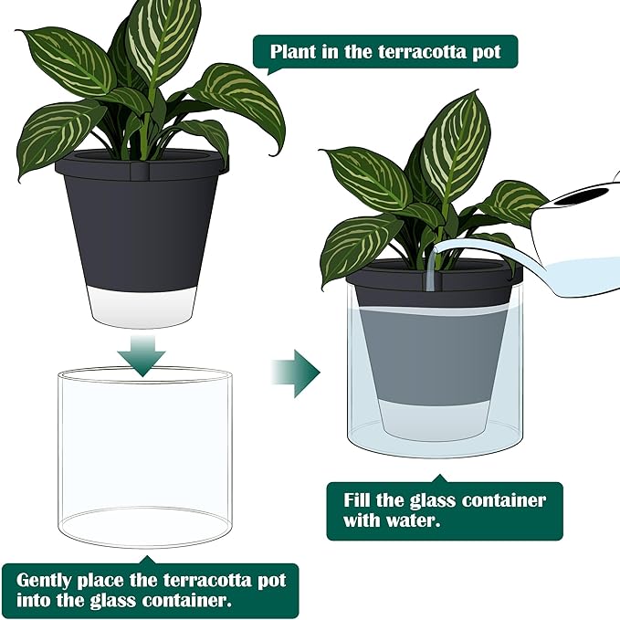 D'vine Dev 10 Inch Design Self Watering Planter for Indoor Plants, Black Terracotta Pot with Cylinder Glass Cup, 37-X-D-3