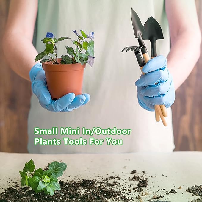 Small Garden Tool Set, 6 Pieces Iron Gardening Kit Including Hand Shovel, Transplant Shovel and Hand Rake with Wood Non-Slip Handle Perfect for Plant Lovers