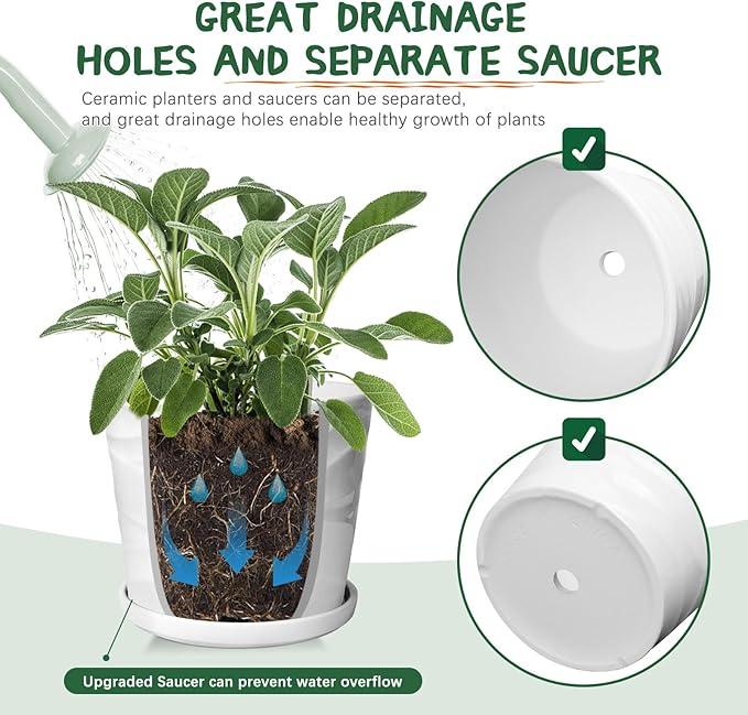 8 Inch Plant Pot, Ceramic Planter with Drainage and Saucer, Ceramic Pots for Plants, Indoor Plant pots,Succulent Orchid Flower Pot(Pure White)